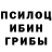 Псилоцибиновые грибы мухоморы Tania Pavlyshche