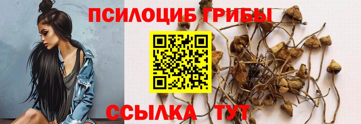 Галлюциногенные грибы Cubensis  Вход с VPN  цены   Костомукша 
