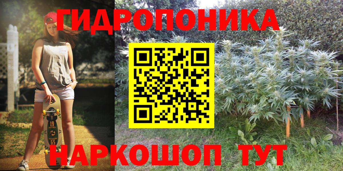 Codein Костомукша
